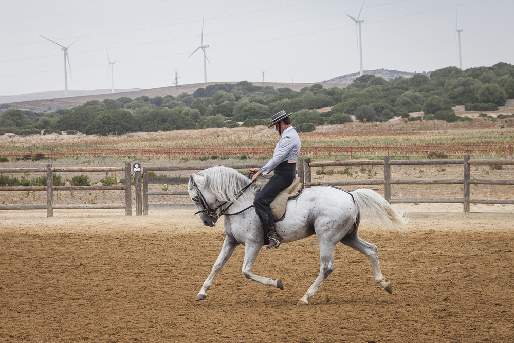 spain-luxury-travel-concierge-dmc-andalusia-horses-1