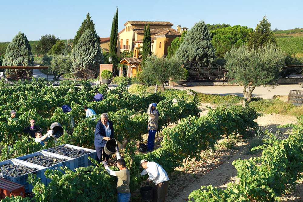 spain-luxury-travel-incoming-dmc-concierge-catalonia-cellars-wine-eco-harvest