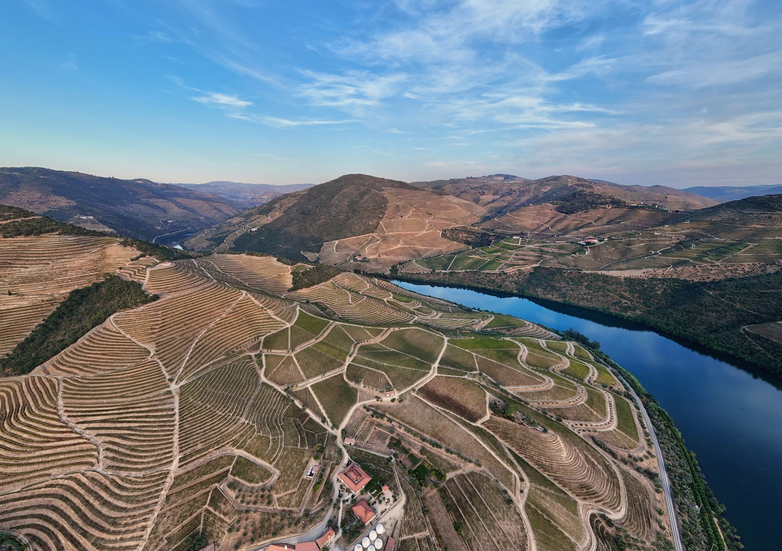 Douro River and terraced vineyards landscape in Portugal aerial view